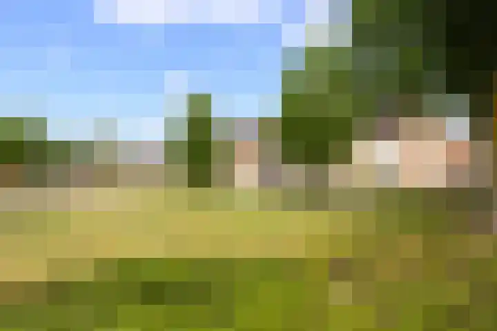 César Francklaan 16 Waalwijk thumbnail 6