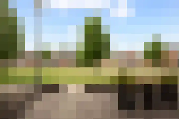 César Francklaan 16 Waalwijk thumbnail 8