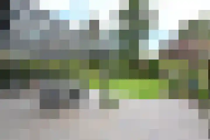 César Francklaan 4 Huizen thumbnail 16