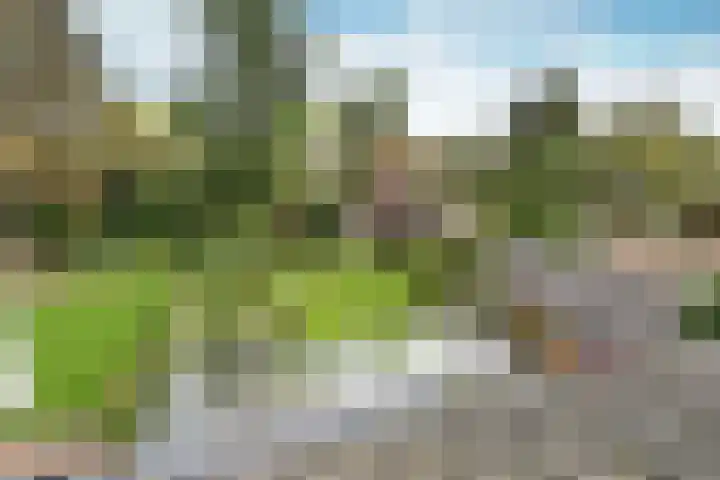 César Francklaan 4 Huizen thumbnail 22
