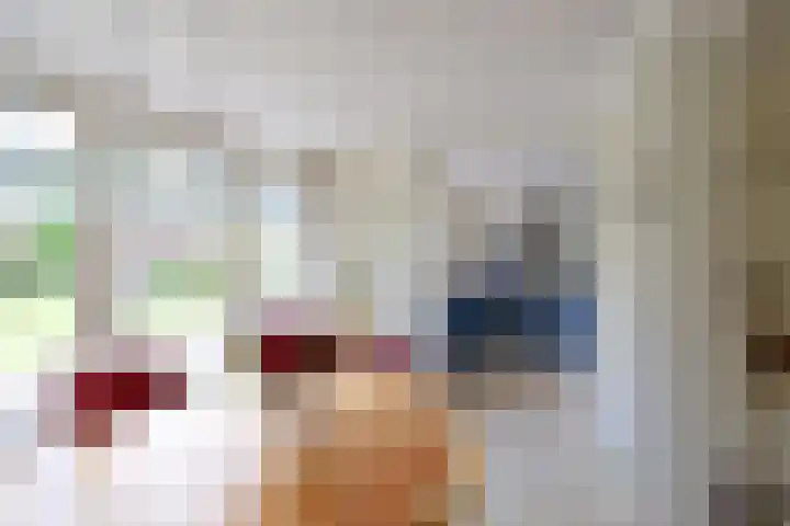 César Francklaan 4 Huizen thumbnail 6