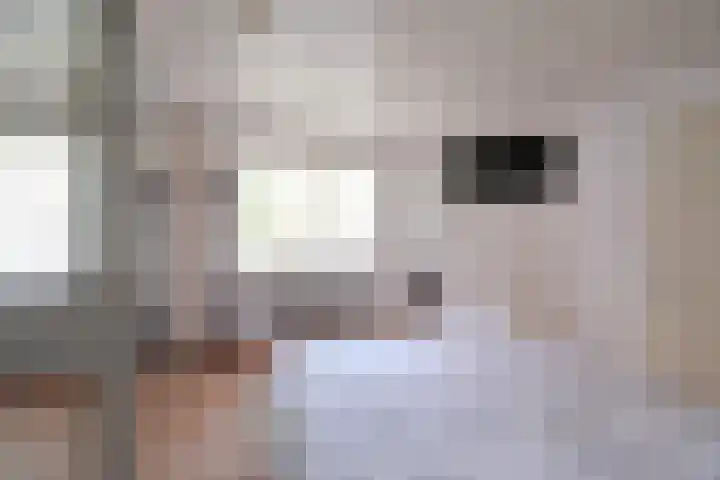César Francklaan 4 Huizen thumbnail 9
