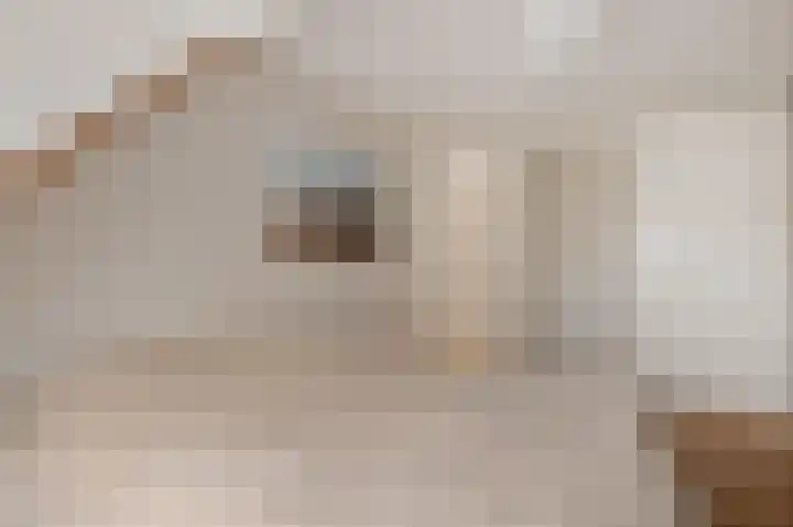 César Francklaan 6 Heemstede thumbnail 32