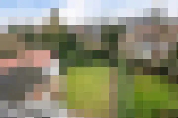 César Francklaan 6 Heemstede thumbnail 43