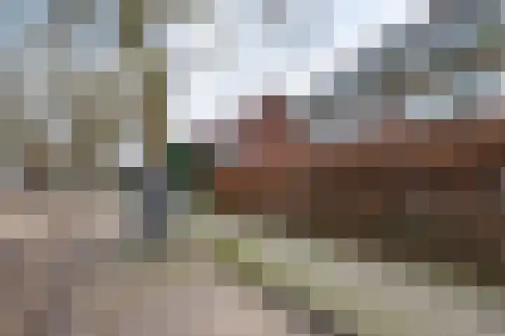 César Francklaan 6 Heemstede thumbnail 46