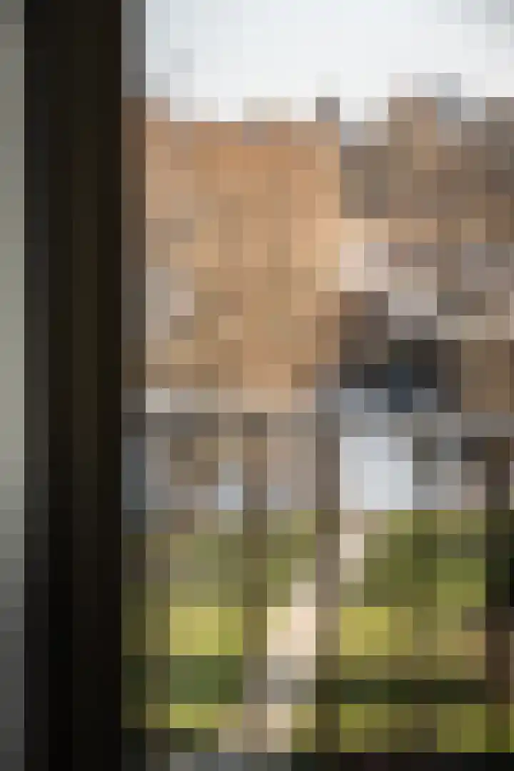 César Francklaan 99 Heemstede thumbnail 33