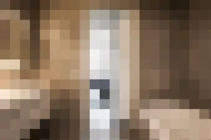César Francklaan 99 Heemstede thumbnail 41
