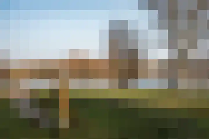 César Francklaan 99 Heemstede thumbnail 45