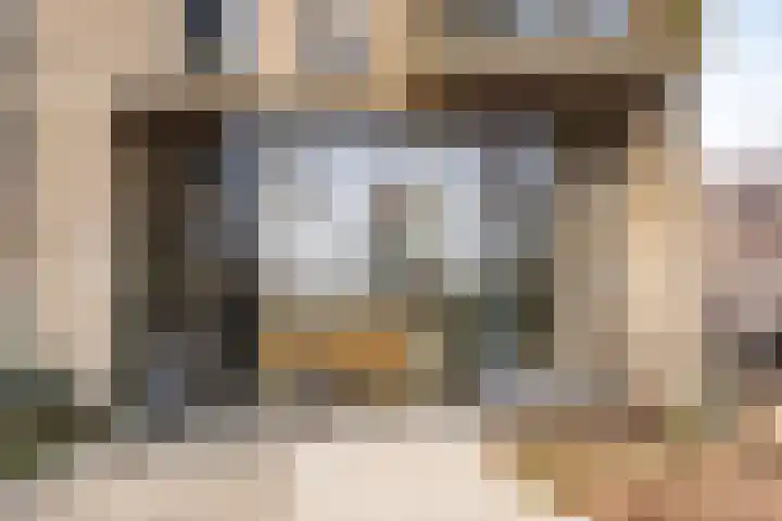 César Francklaan 99 Heemstede thumbnail 5