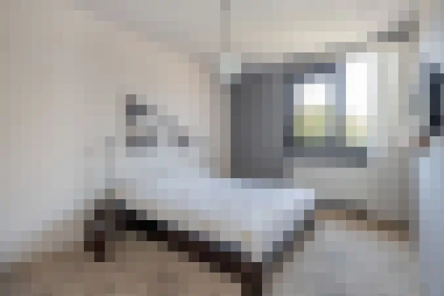 César Franckrode 39 Zoetermeer thumbnail 24
