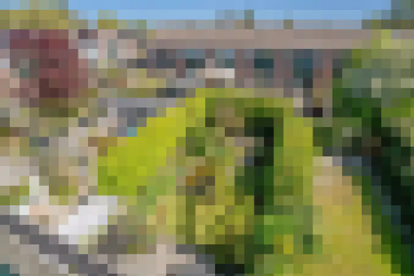 César Franckrode 39 Zoetermeer thumbnail 35