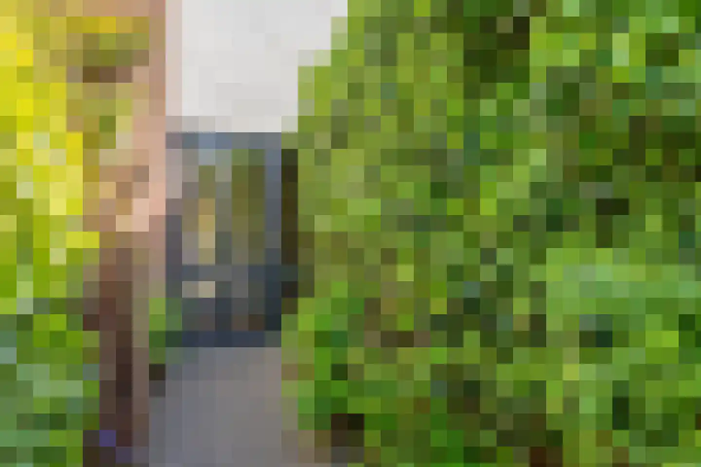 César Franckrode 39 Zoetermeer thumbnail 5