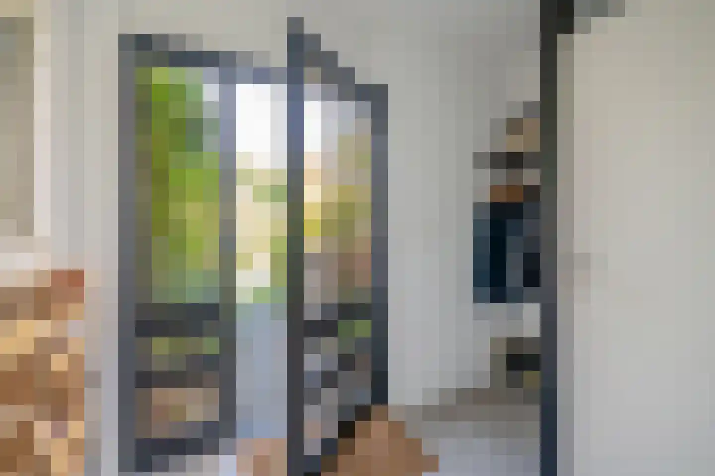 César Franckrode 39 Zoetermeer thumbnail 6