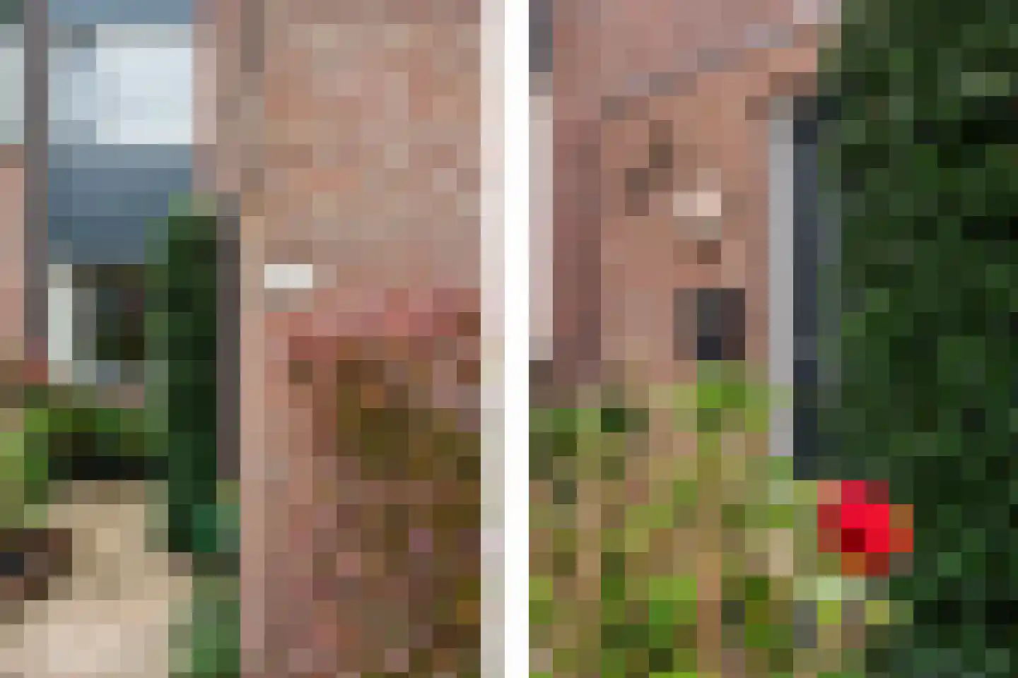 César Franckrode 47 Zoetermeer thumbnail 13