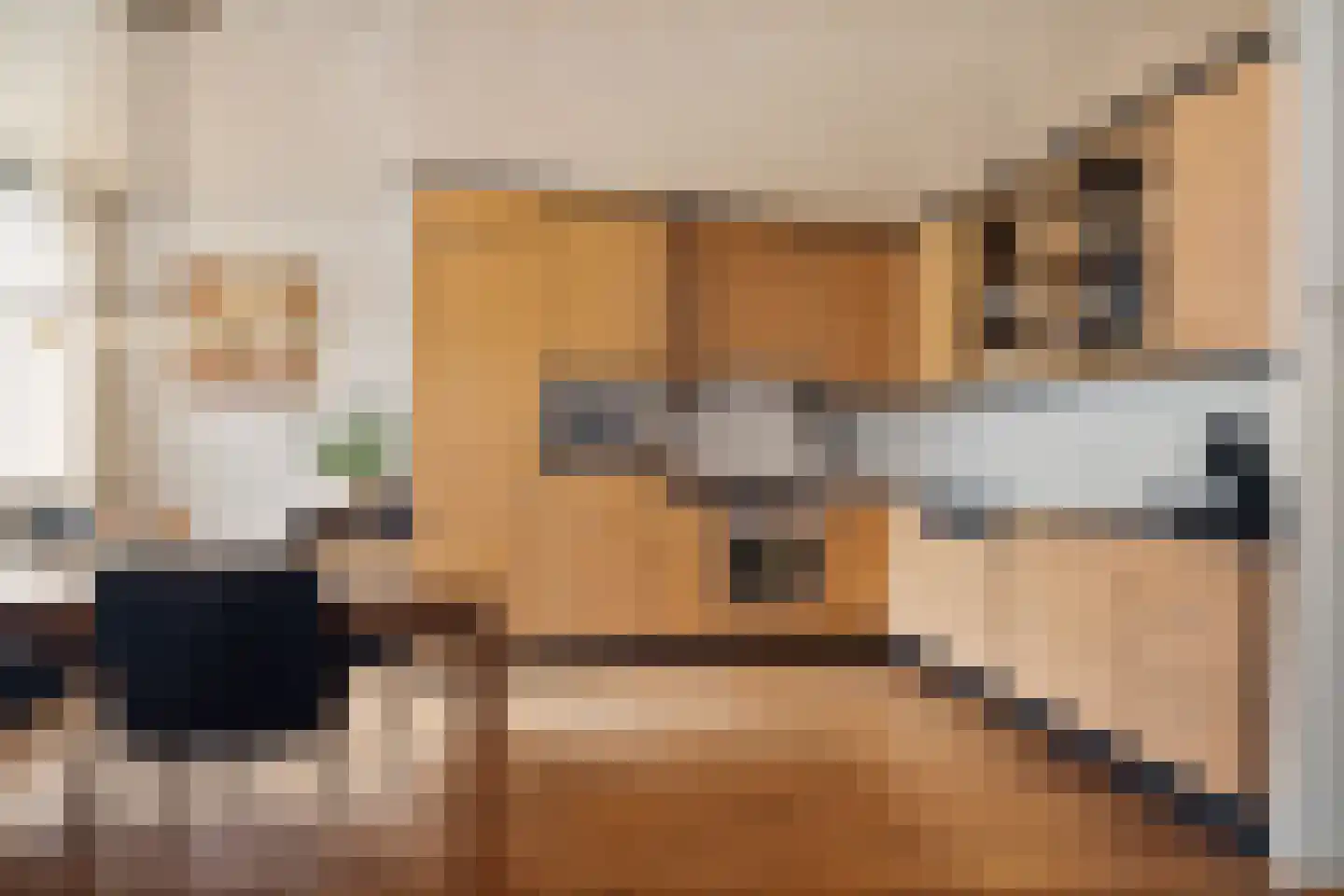 César Franckrode 47 Zoetermeer thumbnail 22