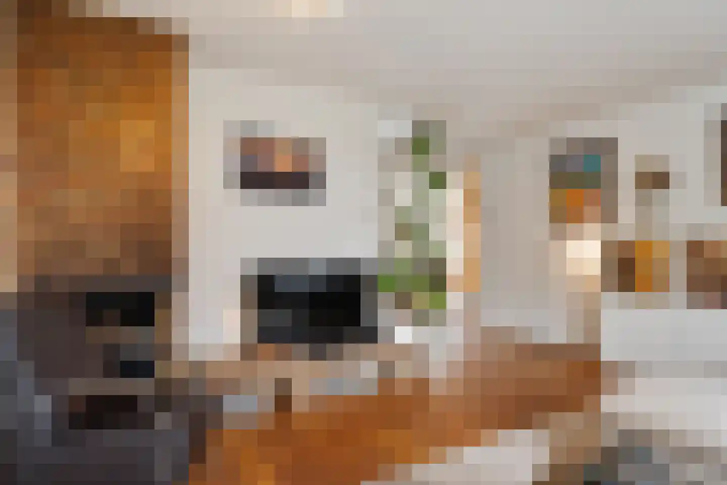 César Franckrode 47 Zoetermeer thumbnail 29