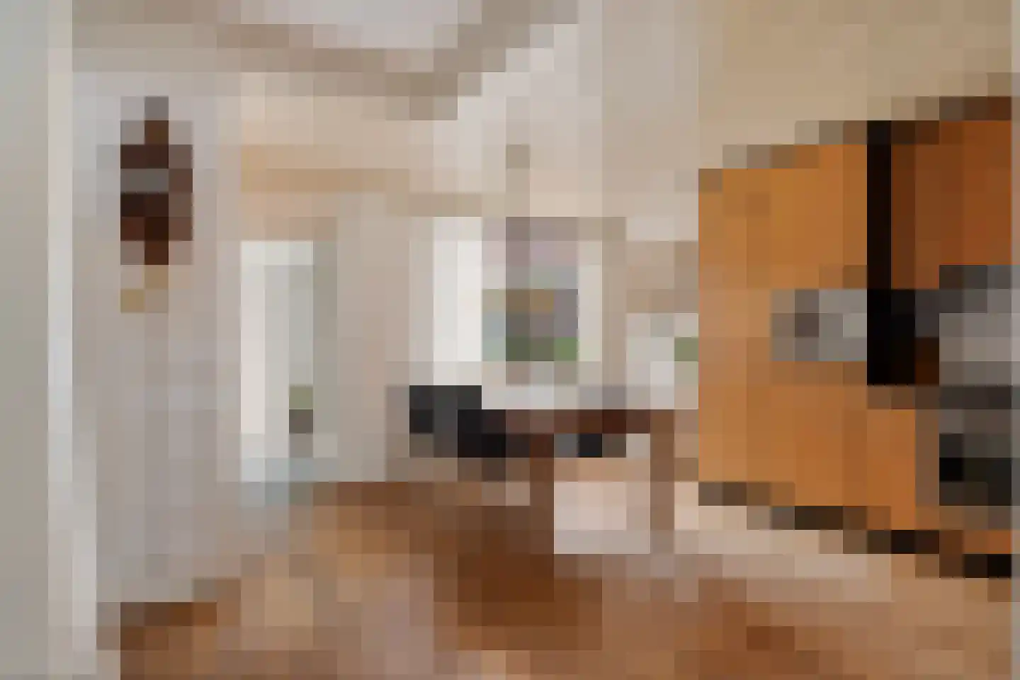 César Franckrode 47 Zoetermeer thumbnail 32