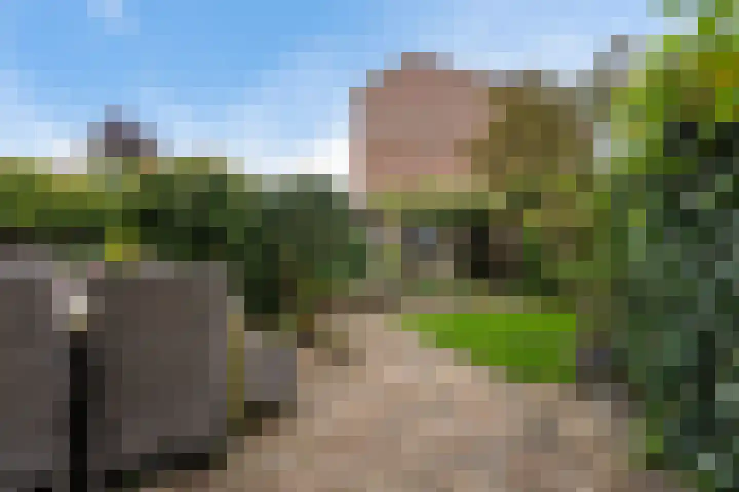 César Franckrode 47 Zoetermeer thumbnail 36