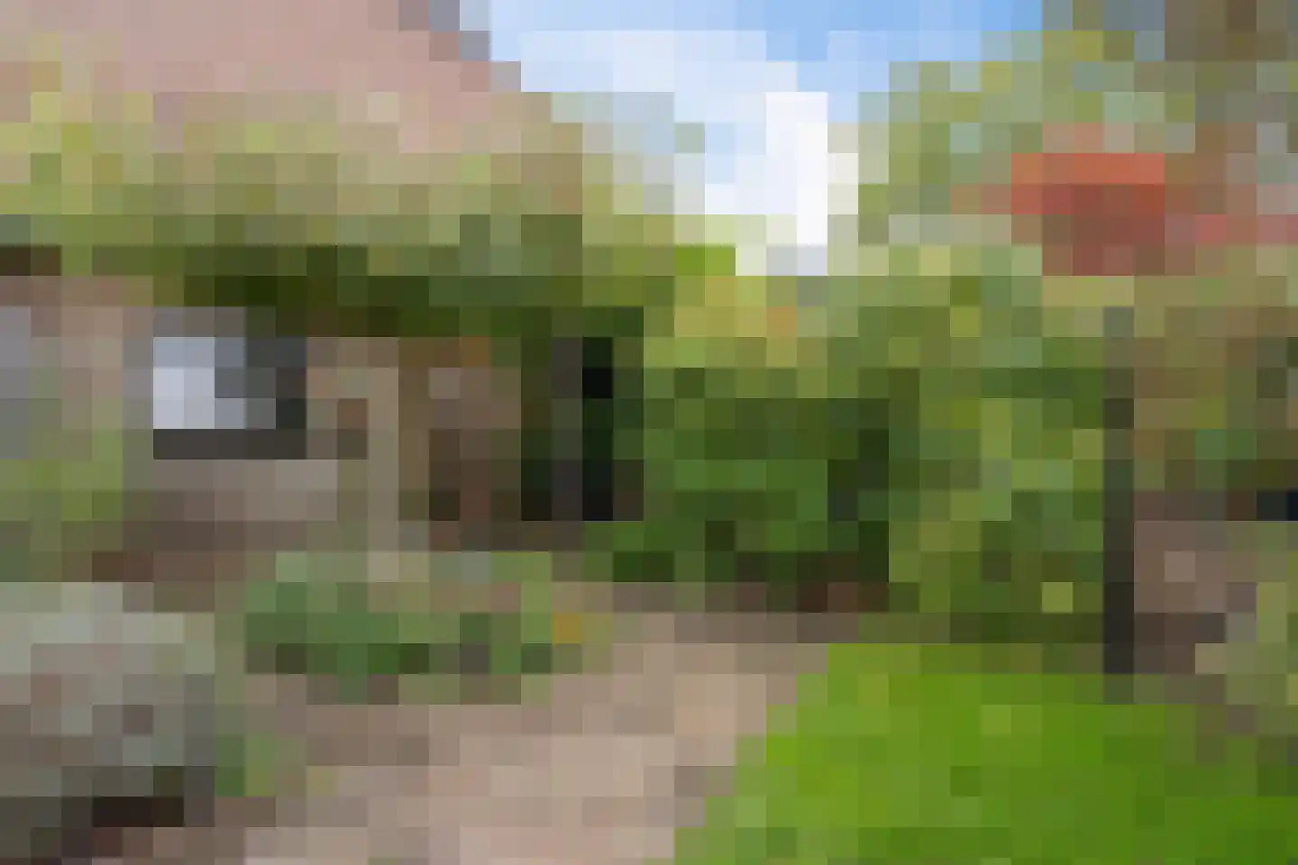 César Franckrode 47 Zoetermeer thumbnail 38