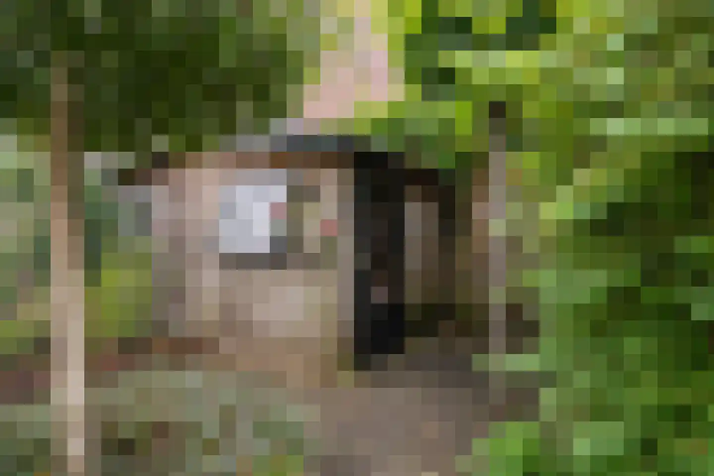 César Franckrode 47 Zoetermeer thumbnail 39