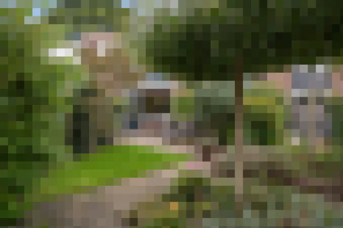 César Franckrode 47 Zoetermeer thumbnail 41
