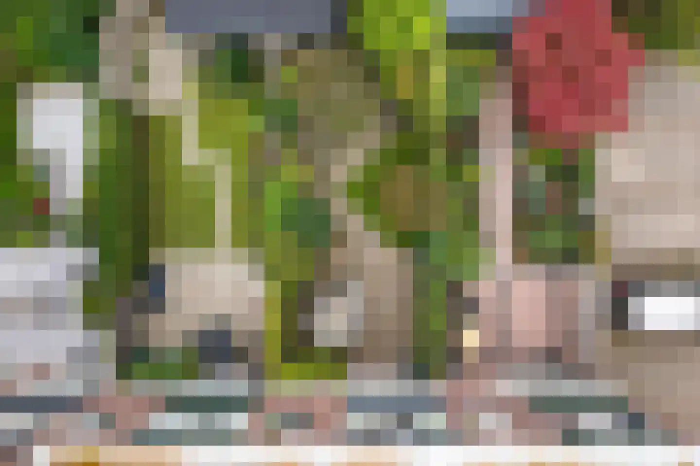 César Franckrode 47 Zoetermeer thumbnail 43