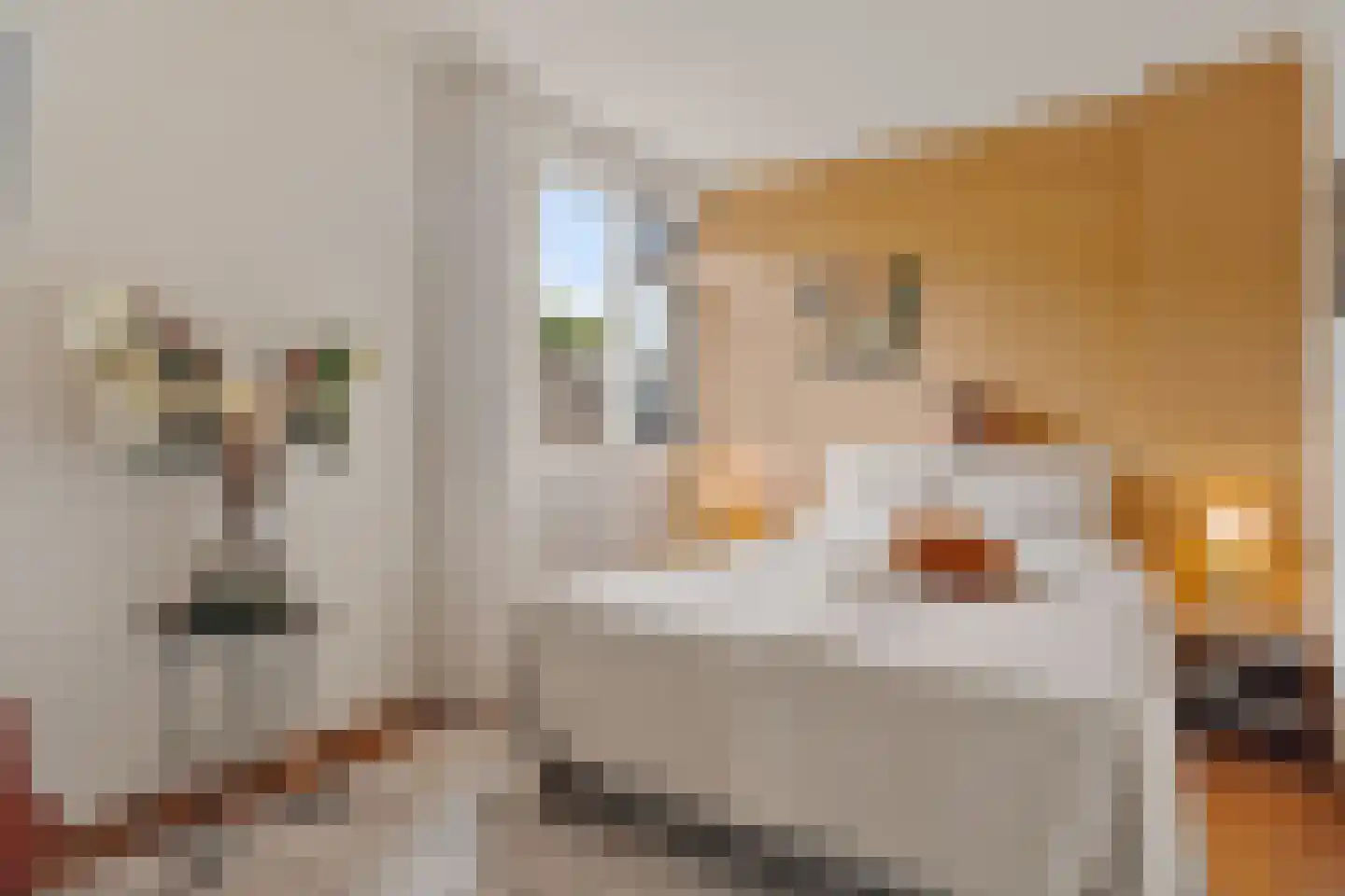 César Franckrode 47 Zoetermeer thumbnail 47