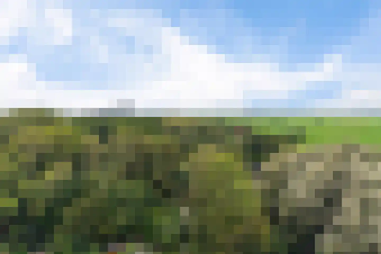 César Franckrode 47 Zoetermeer thumbnail 56
