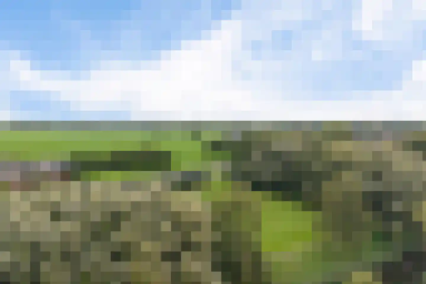César Franckrode 47 Zoetermeer thumbnail 57