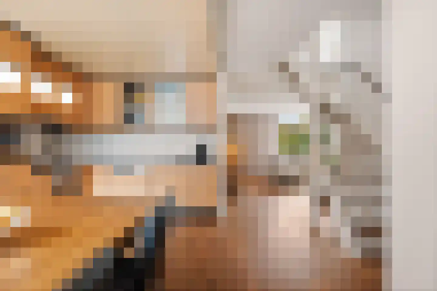 César Franckrode 47 Zoetermeer thumbnail 7