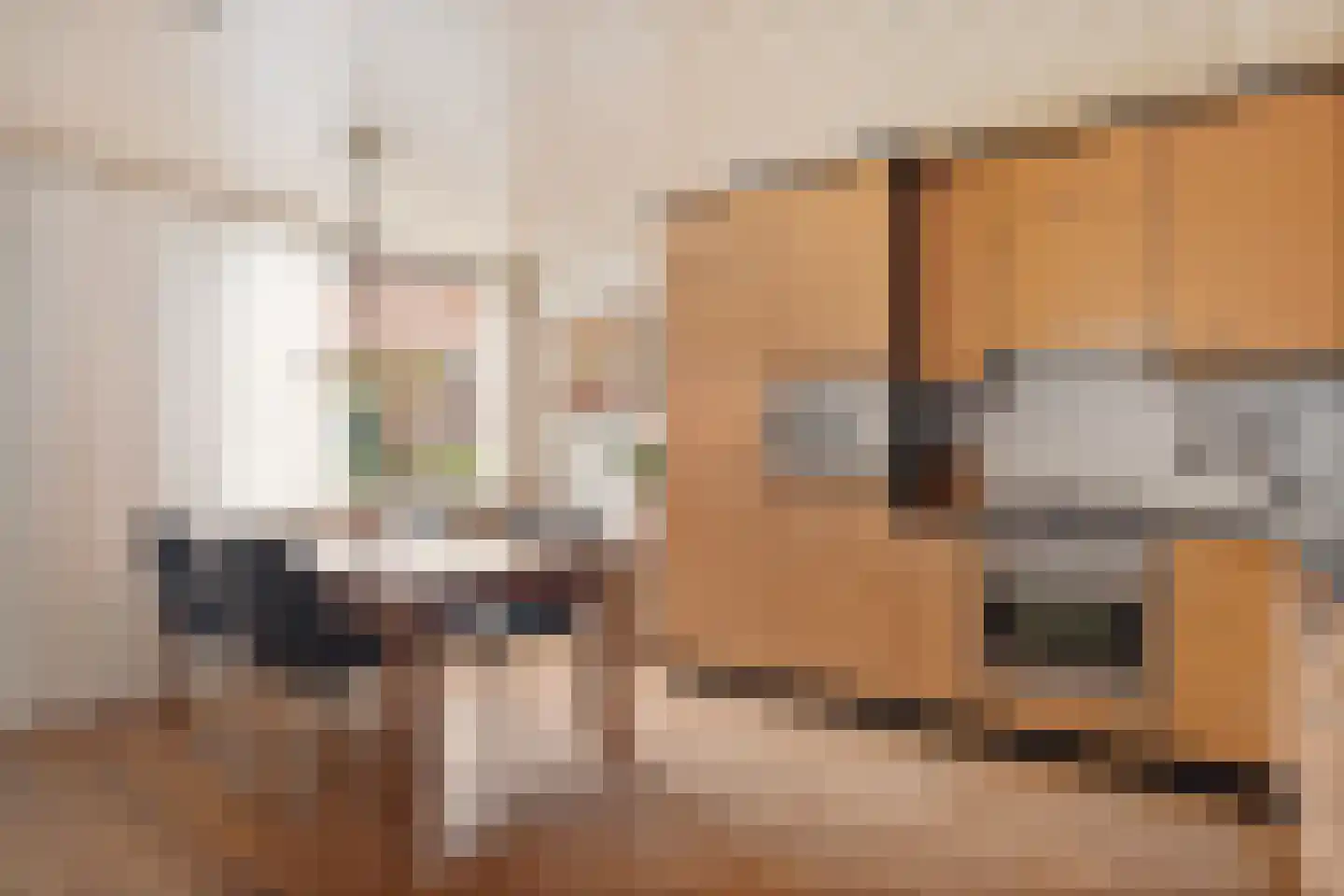 César Franckrode 47 Zoetermeer thumbnail 8