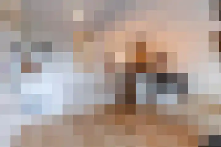 César Franckrode 54 Zoetermeer thumbnail 19
