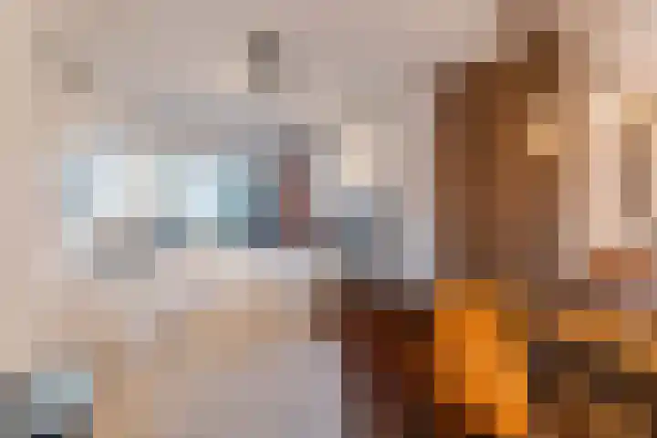 César Franckrode 54 Zoetermeer thumbnail 21