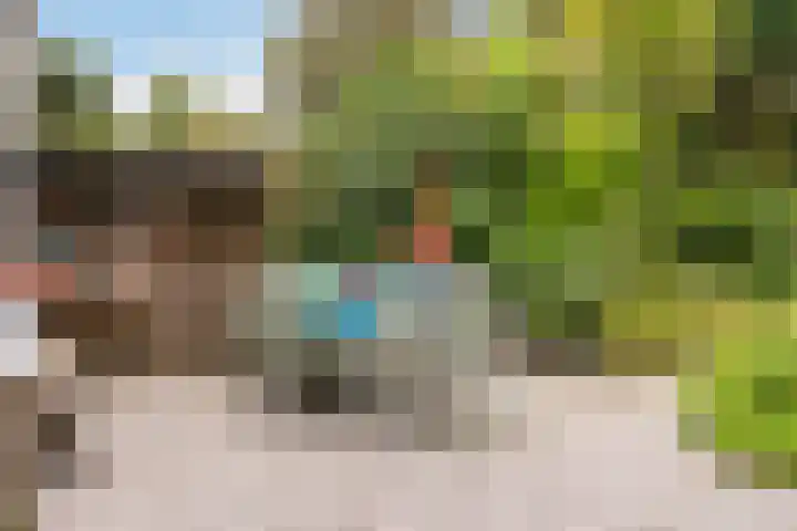 César Franckrode 54 Zoetermeer thumbnail 26