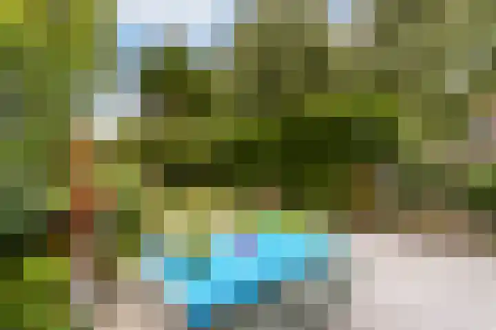 César Franckrode 54 Zoetermeer thumbnail 27