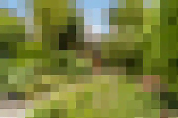 César Franckrode 54 Zoetermeer thumbnail 28
