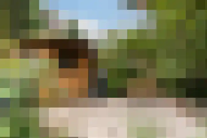 César Franckrode 54 Zoetermeer thumbnail 29