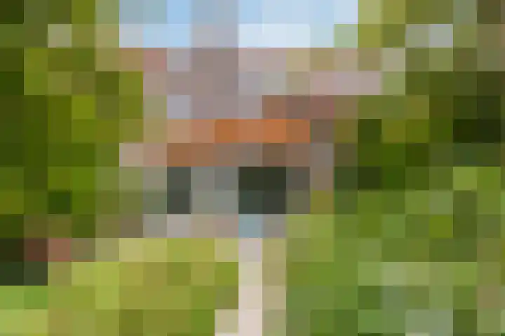 César Franckrode 54 Zoetermeer thumbnail 30
