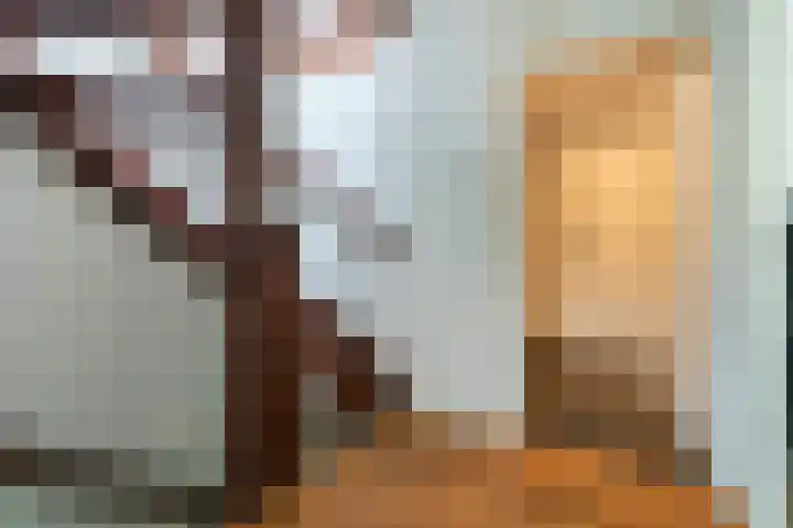 César Franckrode 54 Zoetermeer thumbnail 31