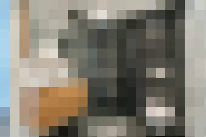 César Franckrode 54 Zoetermeer thumbnail 32