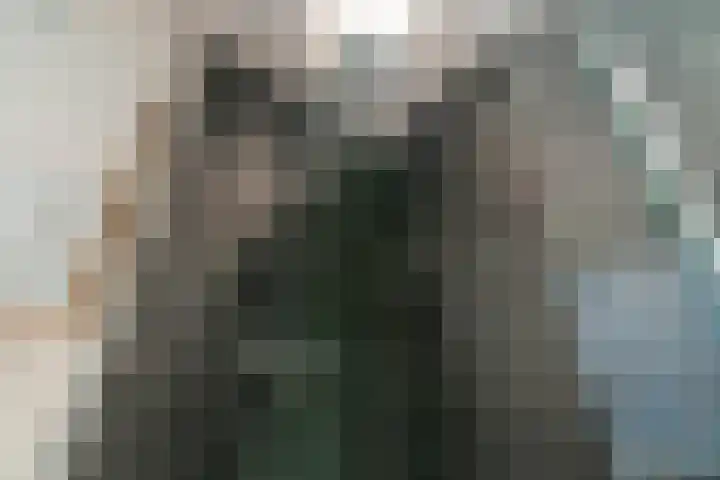 César Franckrode 54 Zoetermeer thumbnail 33