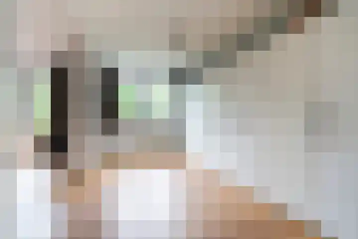 César Franckrode 54 Zoetermeer thumbnail 35