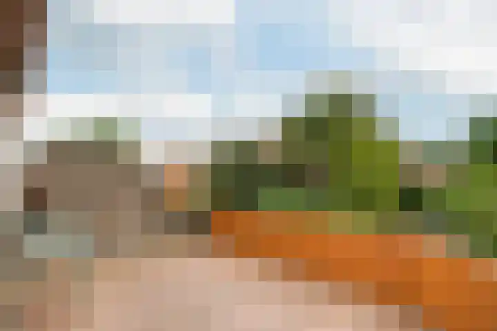 César Franckrode 54 Zoetermeer thumbnail 39