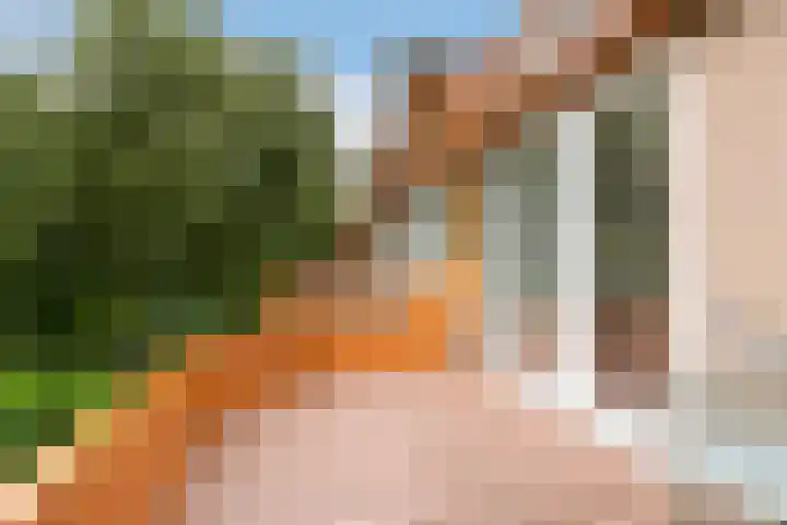 César Franckrode 54 Zoetermeer thumbnail 40