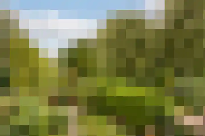 César Franckrode 54 Zoetermeer thumbnail 42