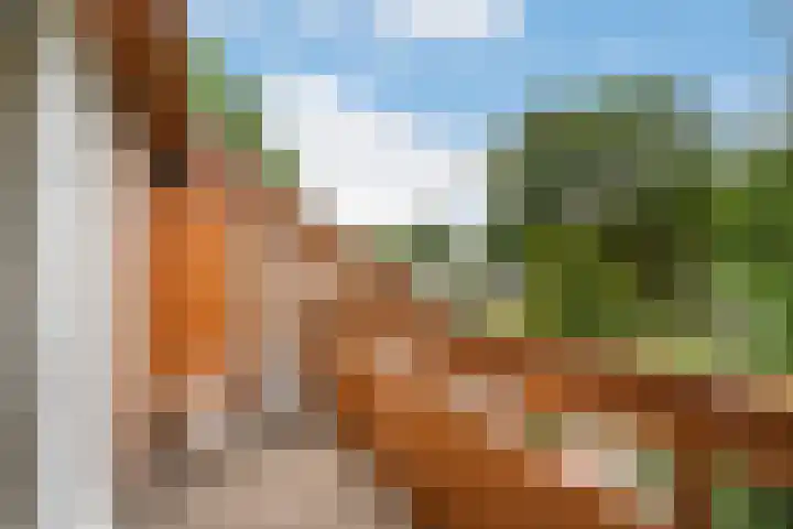 César Franckrode 54 Zoetermeer thumbnail 46