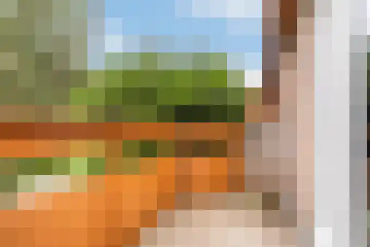 César Franckrode 54 Zoetermeer thumbnail 47