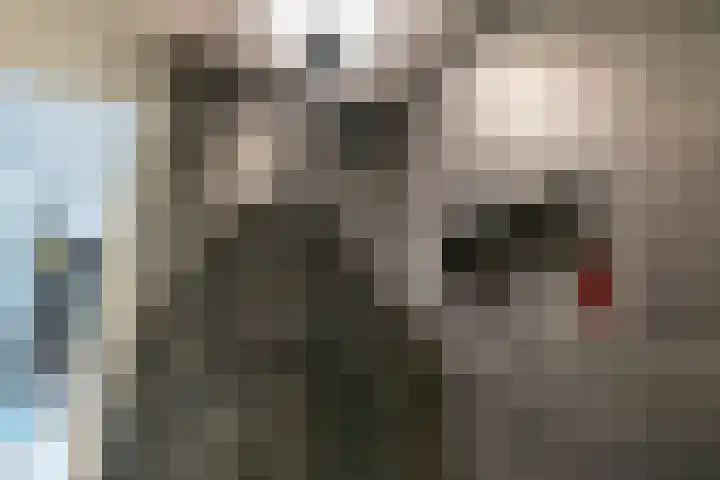César Franckrode 54 Zoetermeer thumbnail 51