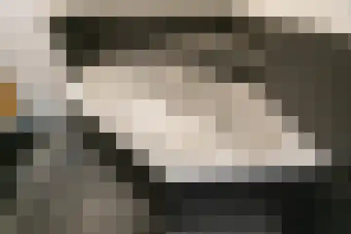 César Franckrode 54 Zoetermeer thumbnail 52