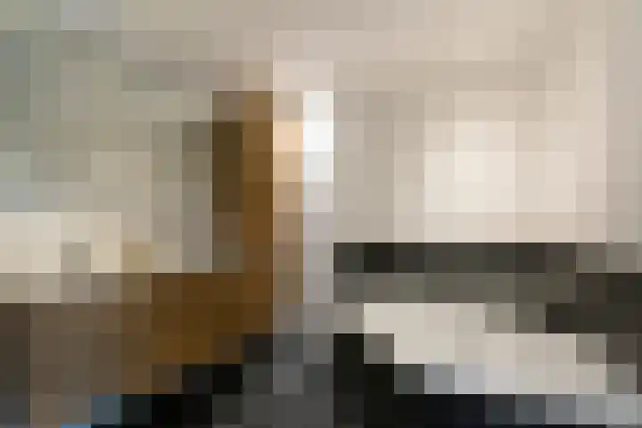 César Franckrode 54 Zoetermeer thumbnail 53